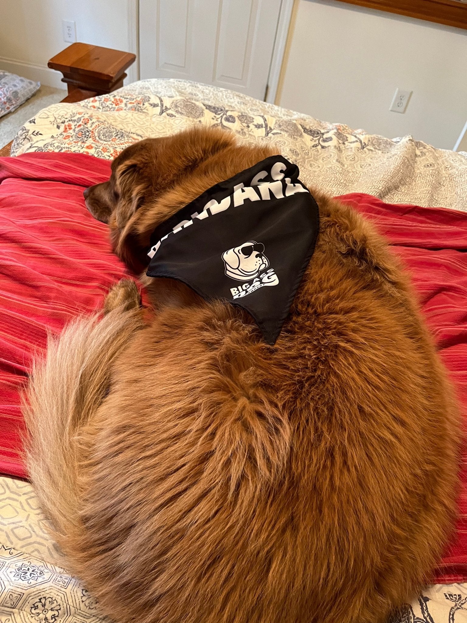 Big Ass Bandana - Big Ass Dog Company