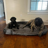 Big Ass Bed v3 - Big Ass Dog Company