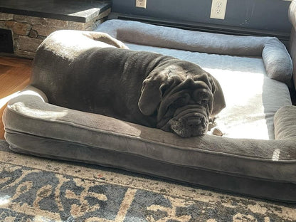Big Ass Bolster Bed - Big Ass Dog Company