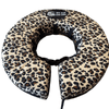 Big Ass Boo Boo Recovery Collar Bundle - Big Ass Dog Company