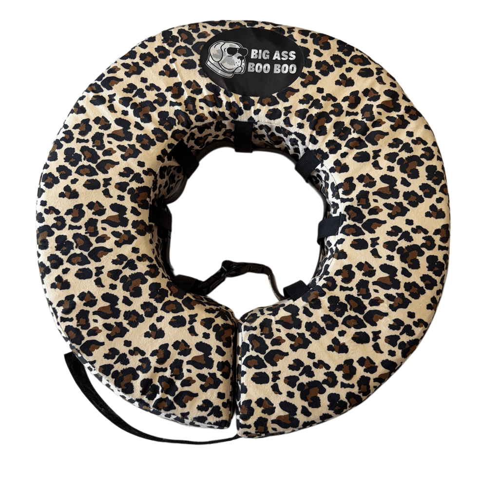 Big Ass Boo Boo Recovery Collar Bundle - Big Ass Dog Company