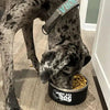 Big Ass Bowl Combo - Big Ass Dog Company