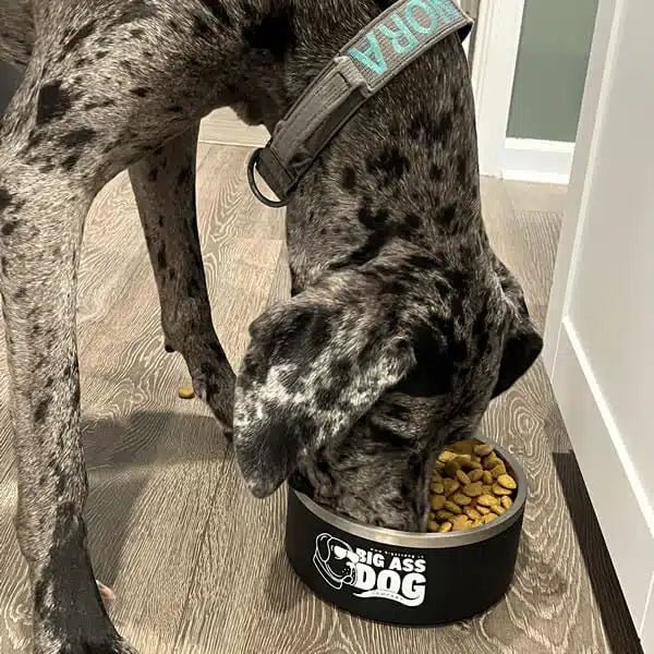 Big Ass Bowl Combo - Big Ass Dog Company