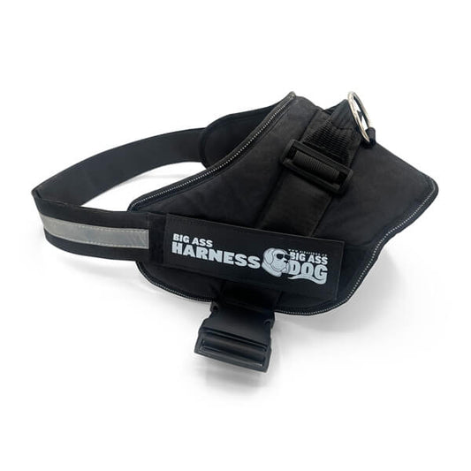 Heavy-duty dog harness for giant breeds with padded chest straps and reinforced metal ring
