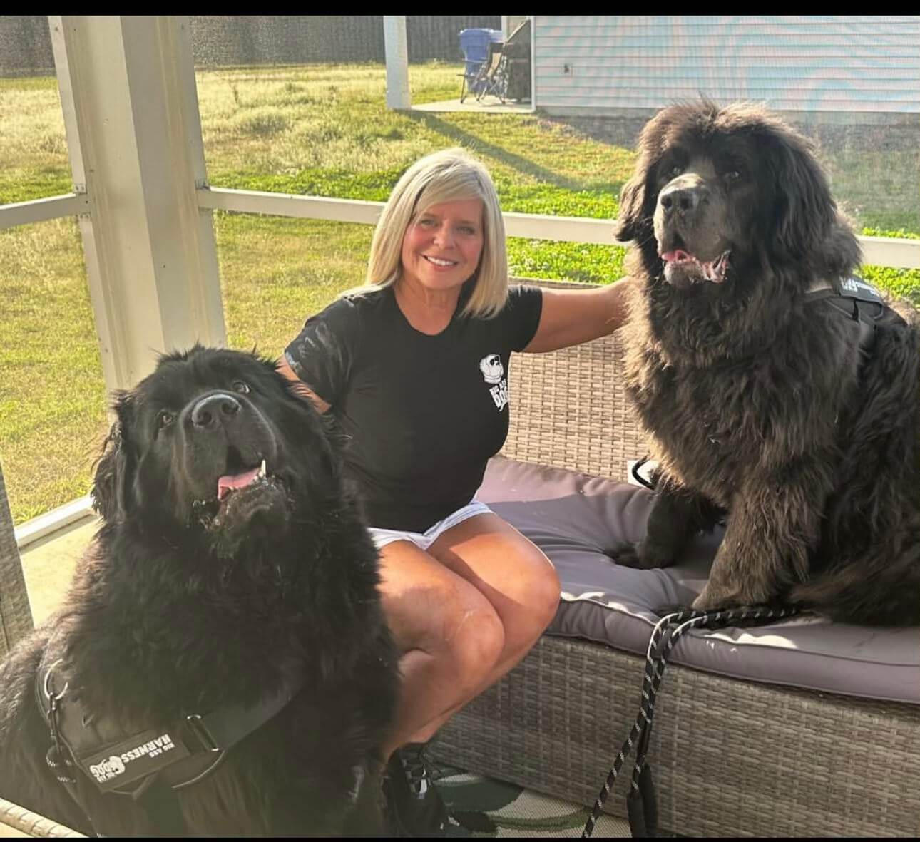Underside view of oversized dog harness showing breathable padding and adjustable fit points