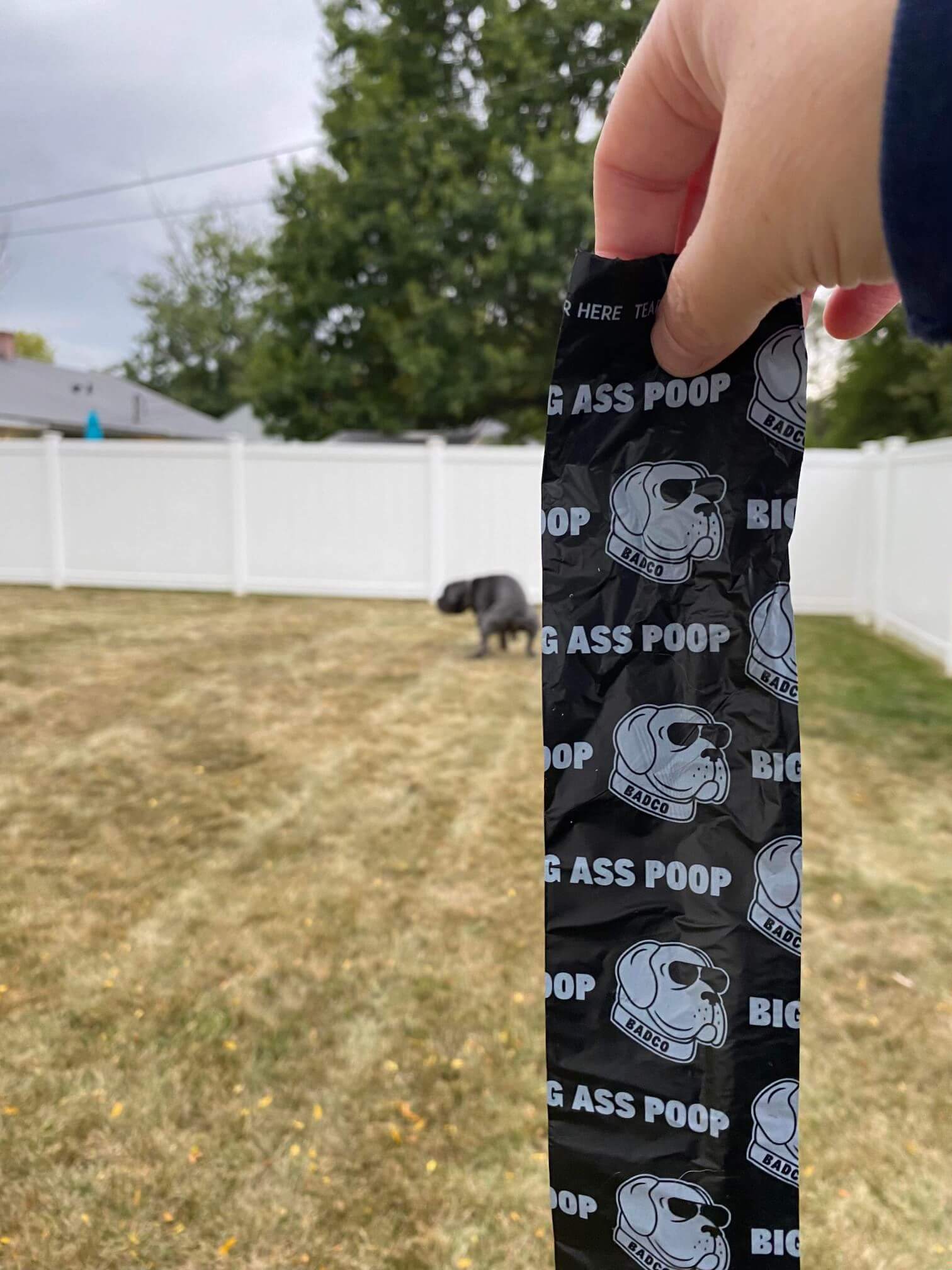 Big Ass Poop Bags - Big Ass Dog Company