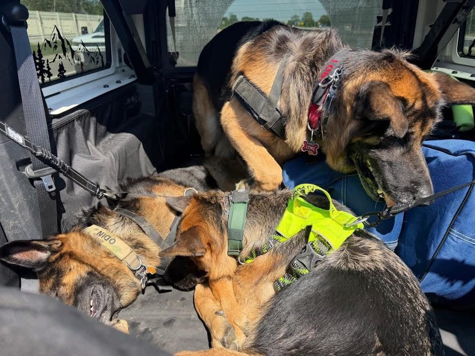 Big Ass Seatbelt Restraint - Big Ass Dog Company