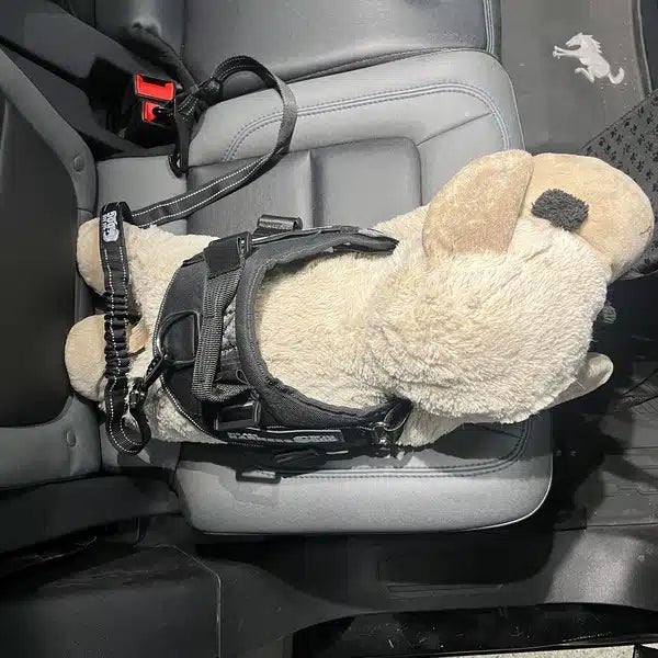 Big Ass Seatbelt Restraint - Big Ass Dog Company