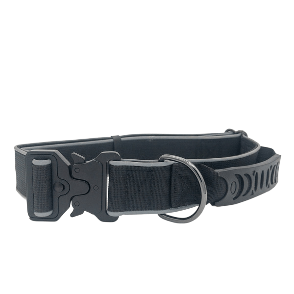 Big Ass Tactical Collar - Big Ass Dog Company