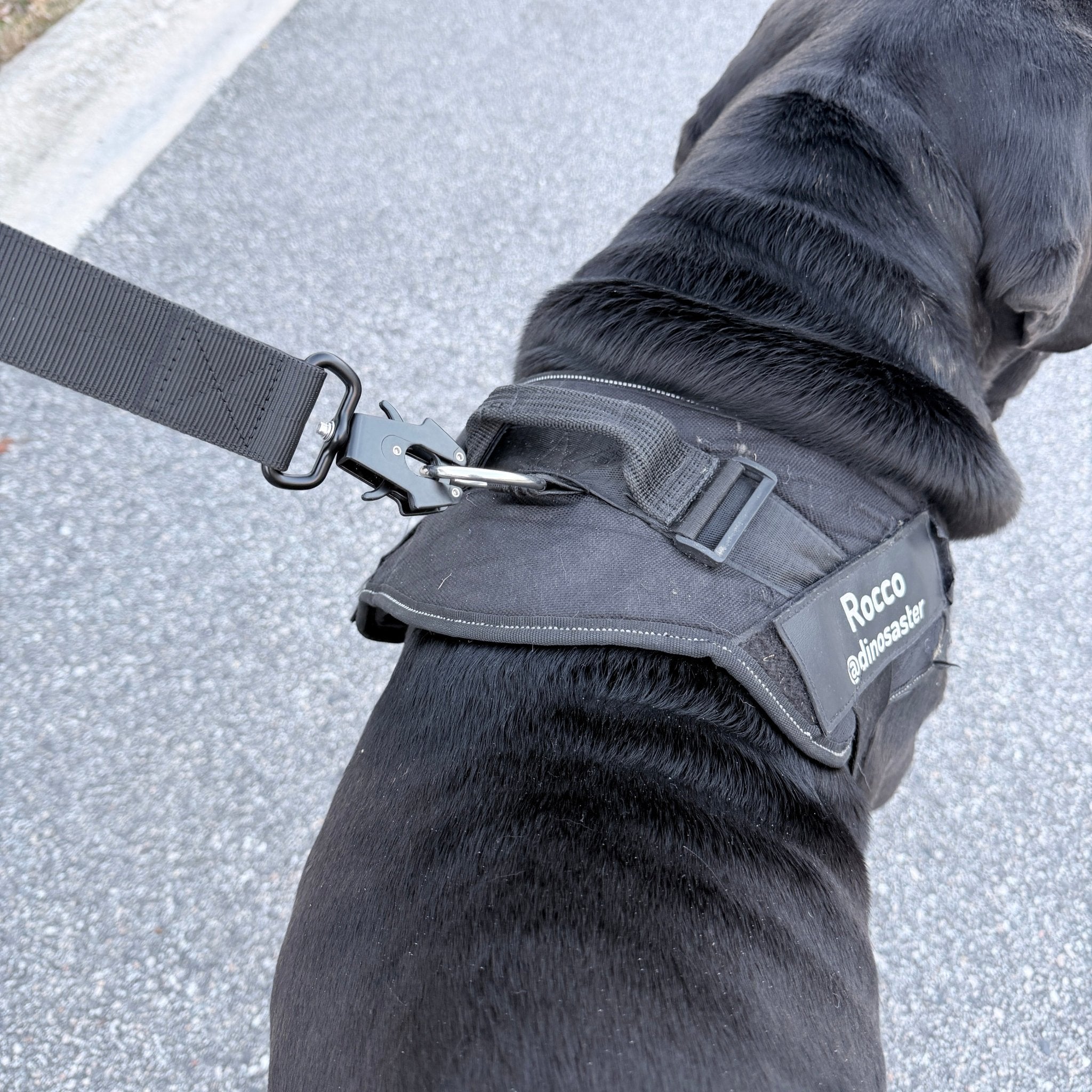Big Ass Tactical Leash - Big Ass Dog Company