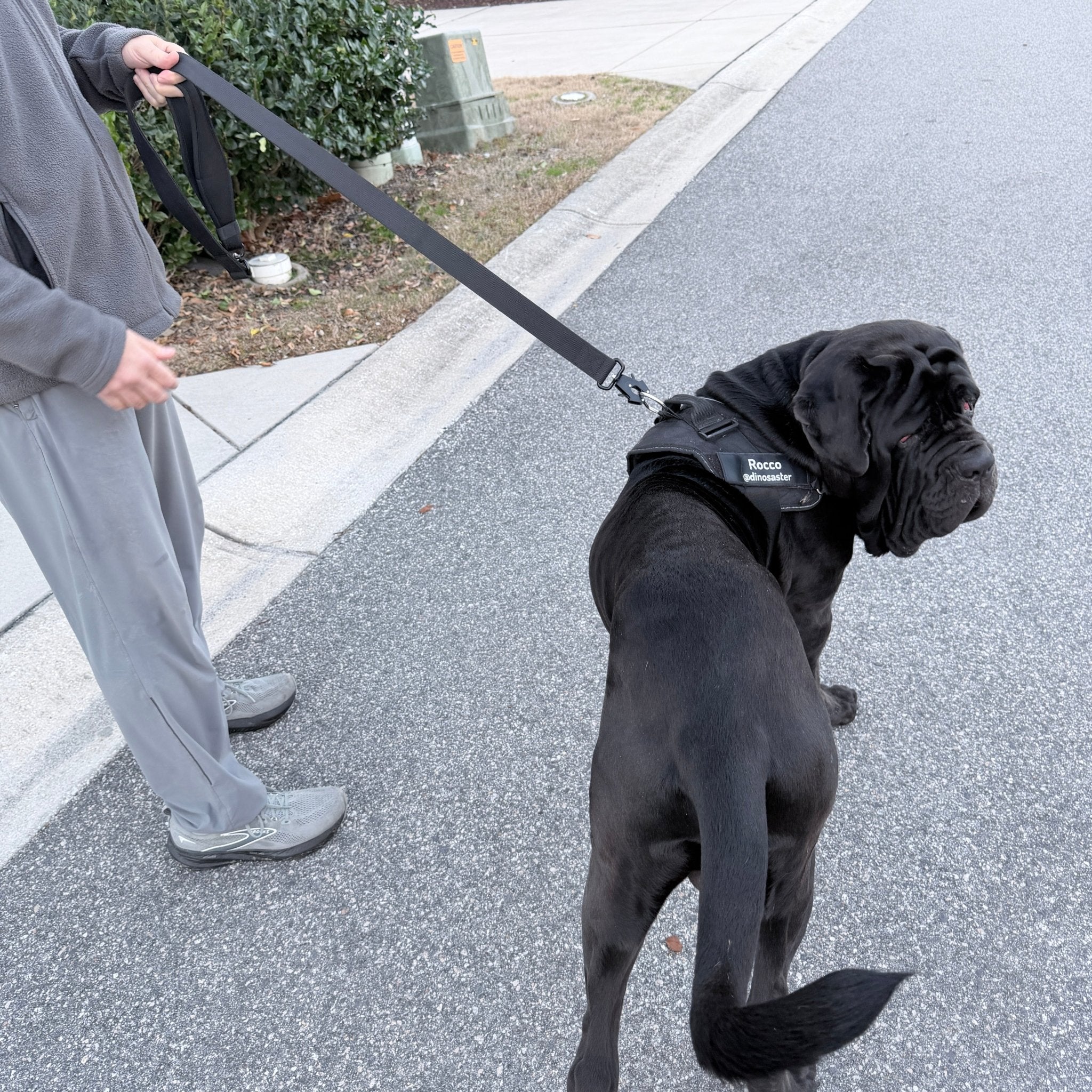 Big Ass Tactical Leash - Big Ass Dog Company