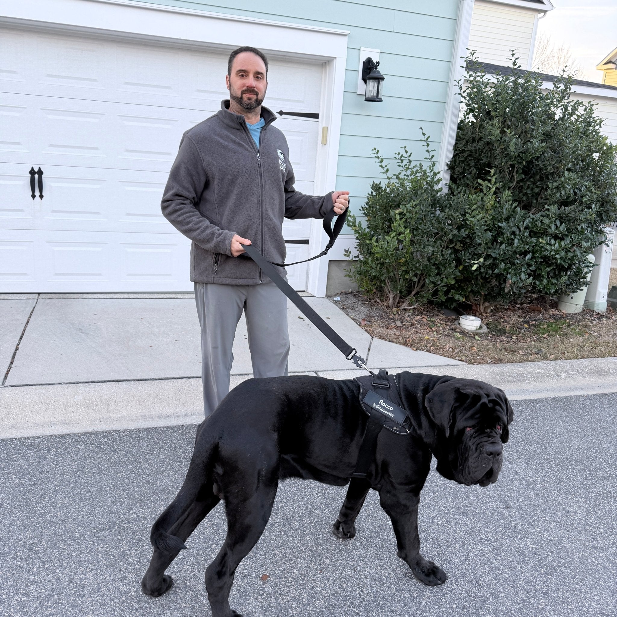 Big Ass Tactical Leash - Big Ass Dog Company