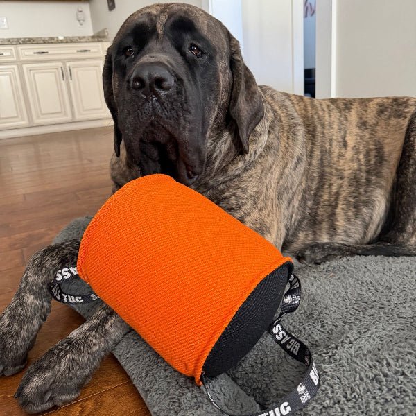 Big Ass Tug - Big Ass Dog Company
