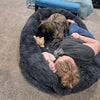 Gigantic Ass Bed - Big Ass Dog Company