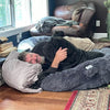 Gigantic Ass Bed - Big Ass Dog Company