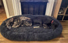 Gigantic Ass Bed - Big Ass Dog Company