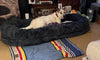 Gigantic Ass Bed - Big Ass Dog Company