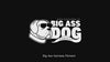 Big Ass Harness Big Ass Dog Company