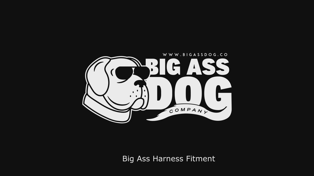 Big Ass Harness Big Ass Dog Company