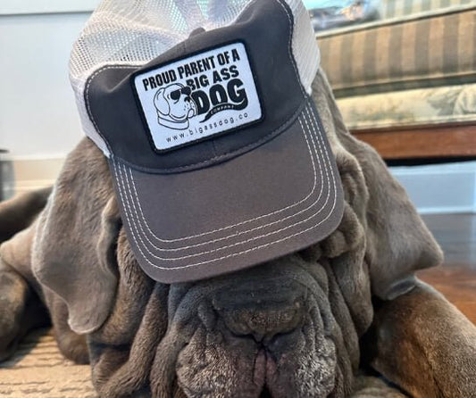 Proud Parent Hat - Big Ass Dog Company