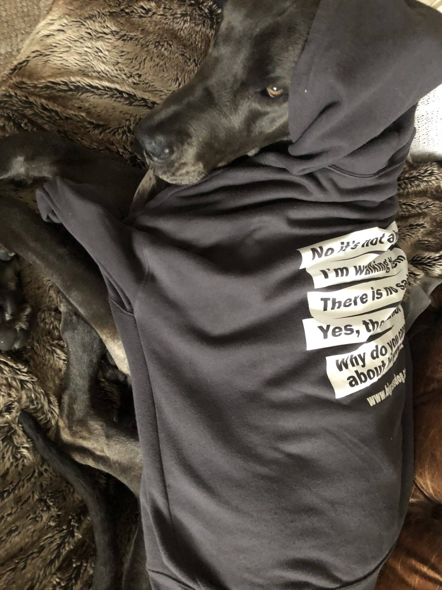 Top 5 Answers Big Ass Hoodie - Big Ass Dog Company