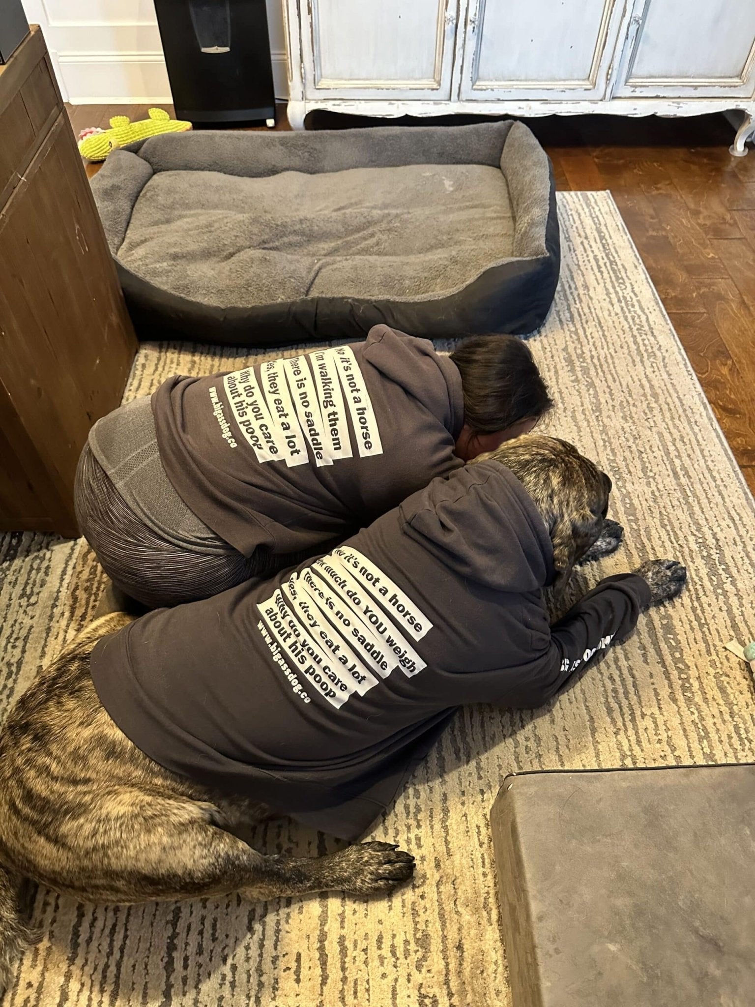 Top 5 Answers Big Ass Hoodie - Big Ass Dog Company
