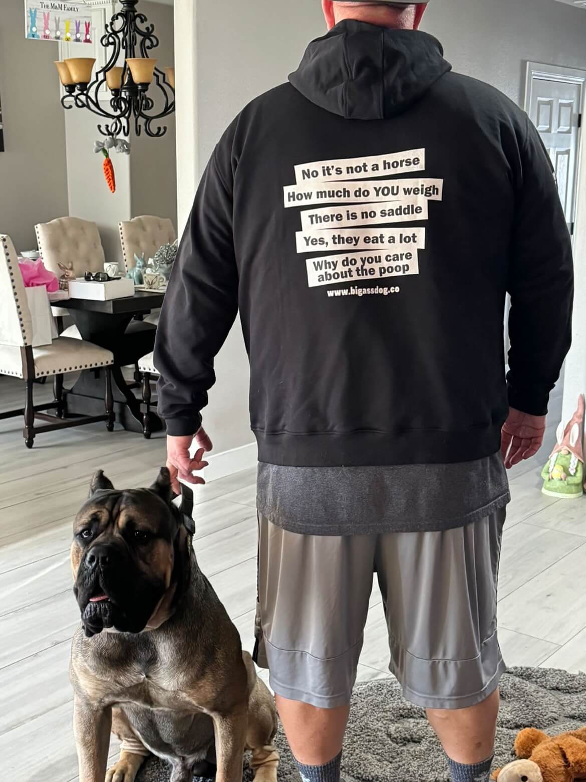 Top 5 Answers Big Ass Hoodie - Big Ass Dog Company