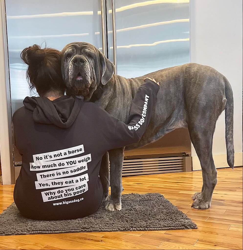 Top 5 Answers Big Ass Hoodie - Big Ass Dog Company