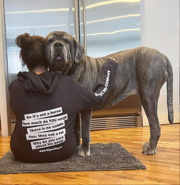 a woman sitting with a mastiff while wearing a hoodie