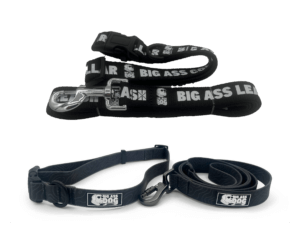 large dog breed leashes and collars