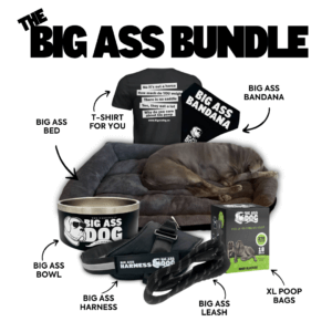 Contents of the Big Ass Bundle